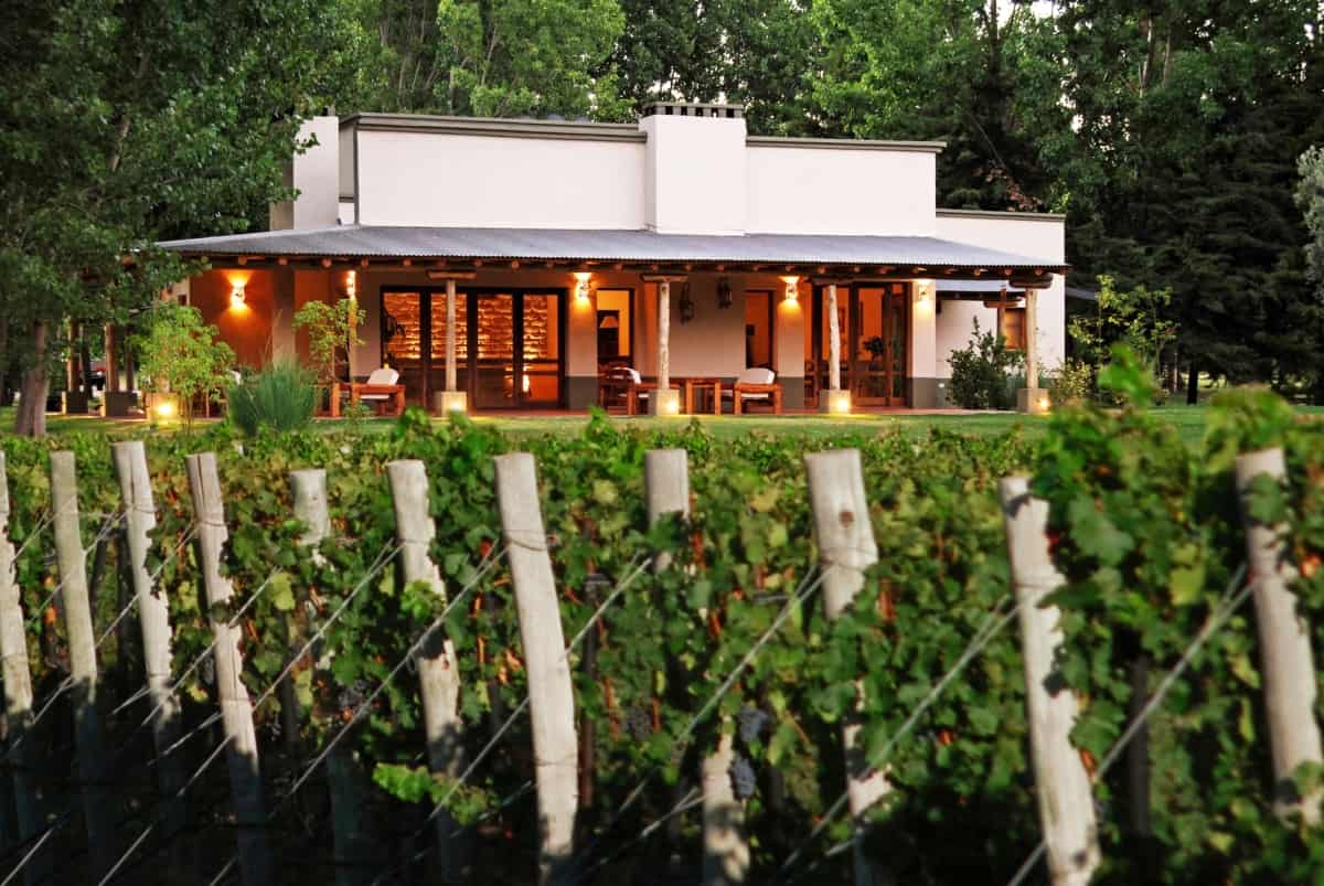 Bodegas en San Rafael: vino, paisaje y maridaje