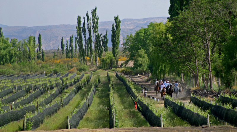 Bodegas del valle de San Rafael